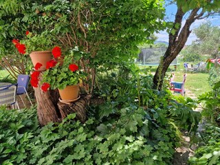 Apartment Rab (Stadt)  1