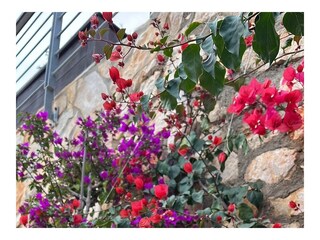 Holiday house Veli Losinj  9