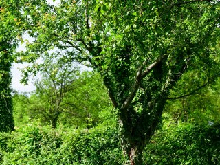 Ferienhaus Rakovica  15