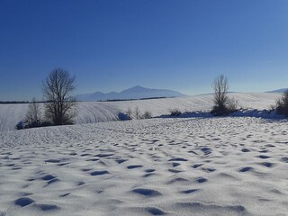 Ferienhaus Rakovica  19