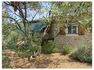 Holiday house Šćitna  3