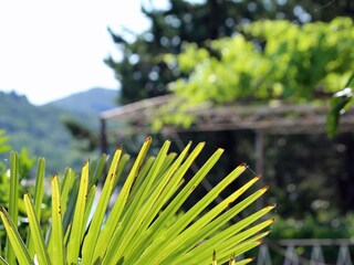 Ferienzimmer Trpanj  8