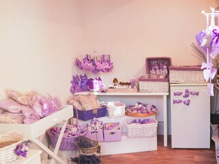 Appartement de vacances Sveti Lovrec Équipement 44