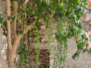 Holiday house Sutivan  9