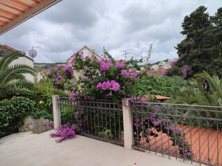 Ferienhaus Sutivan  27