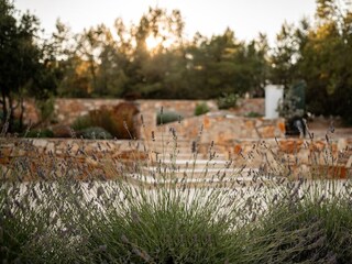 Holiday house Vrboska  14