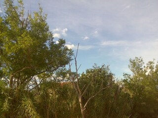 Apartment Privlaka  27