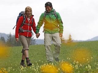 Apartamento de vacaciones Mittelberg Entorno 29