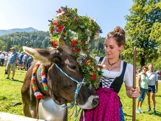 Apartamento de vacaciones Mittelberg Grabación al aire libre 12