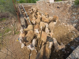 Finca Inca Omgeving 43