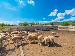 Finca Inca Omgeving 41