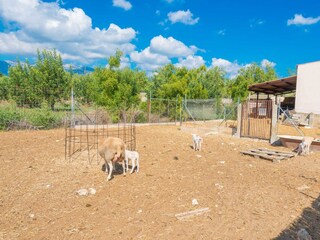 Finca Inca Omgeving 44
