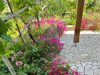 Apartment Veli Losinj  17