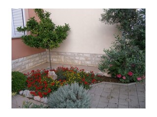 Apartment Sukošan  14