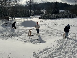 Schlitten fahren geht auch