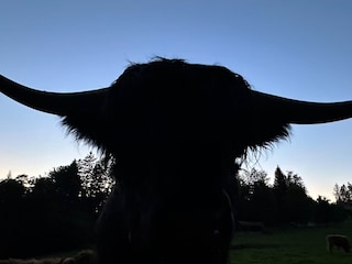 Apartment Eppenschlag Environment 20