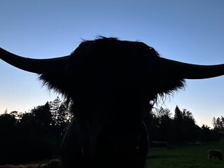 unsere Nachbarn weiter oben