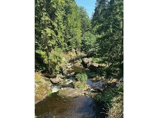 Apartment Eppenschlag Environment 22