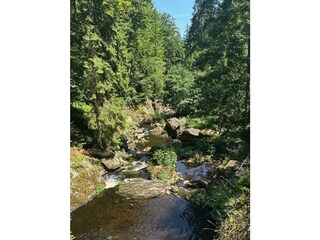 Apartment Eppenschlag Environment 28