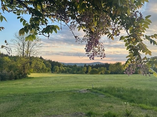 Apartment Eppenschlag Outdoor Recording 2