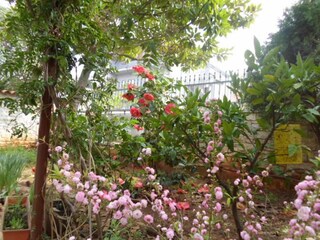 Apartment Banjole  5