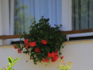 Holiday room Grabovac  16
