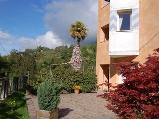 Apartment Riffian Outdoor Recording 9