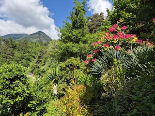 Appartement Riffian Buitenaudio-opname 28