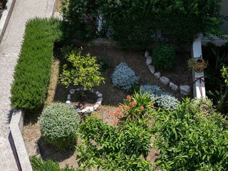 Apartment Zivogosce  6