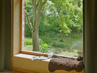Blick in den Garten