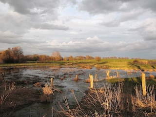 Landschaft im Unkengrund