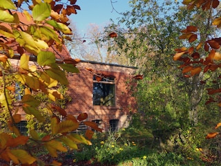Gartenansicht (Herbst)