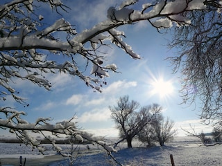 Aue im Winter