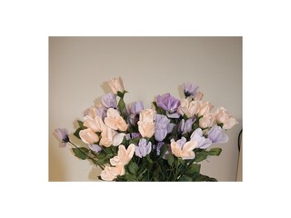 Apartment Povljana  6