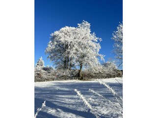 Winterimpressionen