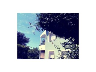 Apartment Petrcane  3