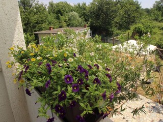 Apartment Županje  8