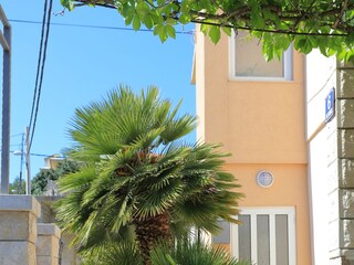 Apartment Arbanija  10