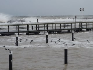 ...es kann auch mal stürmisch werden