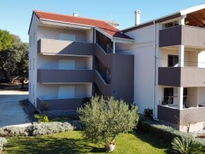 Two bedroom apartment with balcony and sea view Bibinje, Zadar A-19610-b