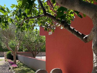 Apartment Povljana  8