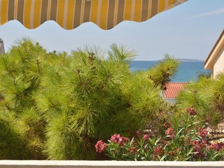 Apartment Povljana  23