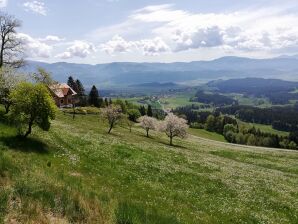 Casa per le vacanze Casa vacanze Hochfelner - Seckau - image1