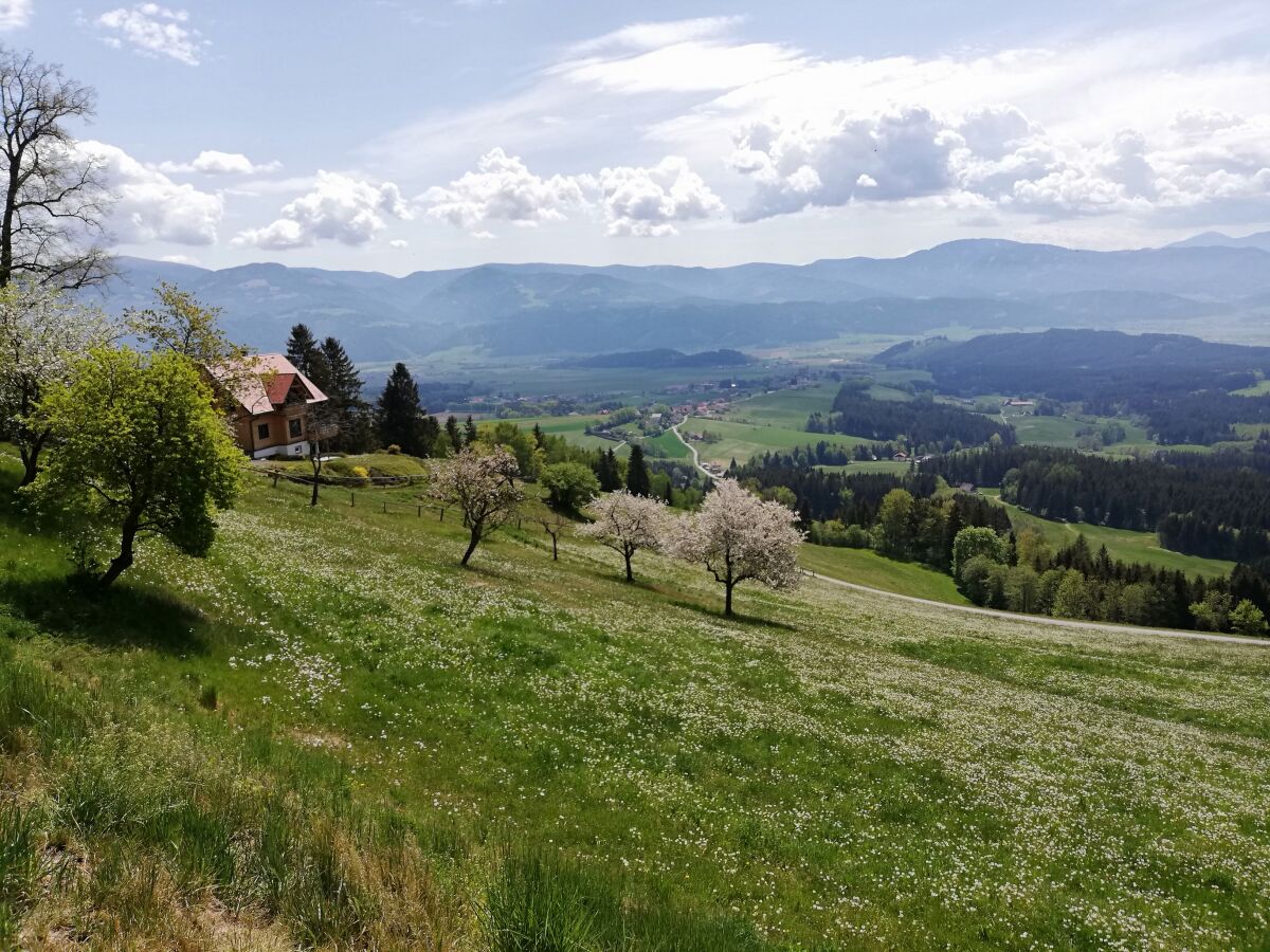 Casa per le vacanze Seckau Registrazione all'aperto 1