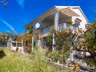 Apartment Povljana  5