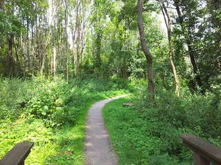 Radfahren im Spreewald