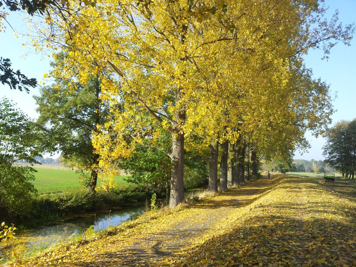 Wandern in der Nähe des Spreewaldhauses