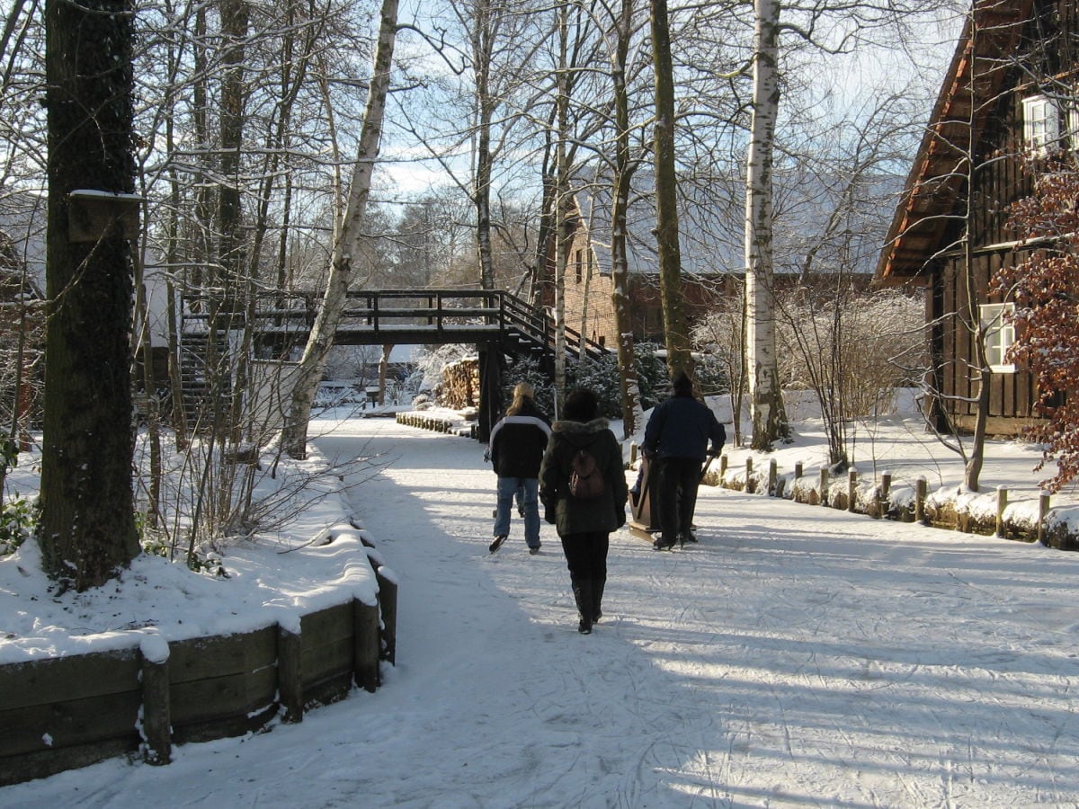 Winter im Spreewald Schlittschuhlaufen