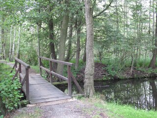 Fahrradfahren im Spreewald