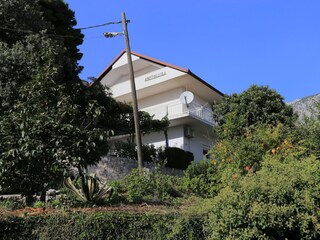 Apartment Zivogosce  3